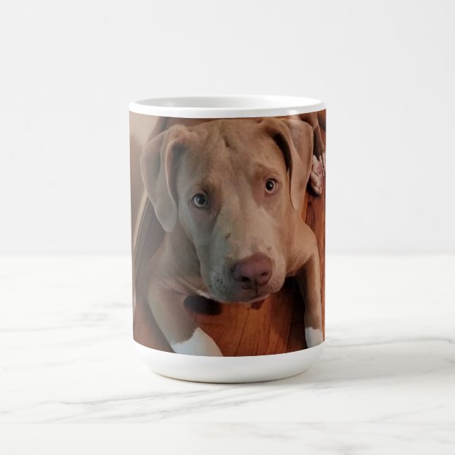 Caneca Mágica Canino (Center)