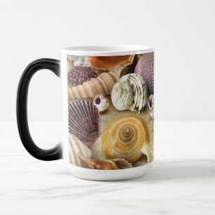 Caneca Mágica Conchas marítimas na praia