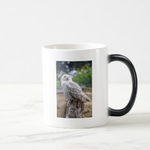 Caneca Mágica Coruja de neve