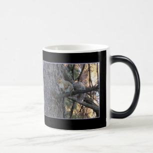 Caneca Mágica de Esquilo na Árvore com Transformaç