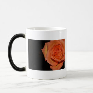 Caneca Mágica Destino da paz do partido do amor da paz do teste