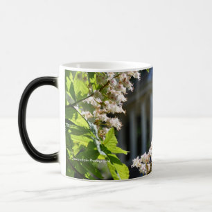 Caneca Mágica Do "caneca do primavera da terra parque"