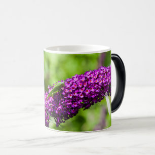 Caneca Mágica energia do grilo-katydid