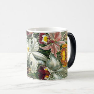 Caneca Mágica Ernst Haeckel Art Impressão:Orchidae Oncidiums, t