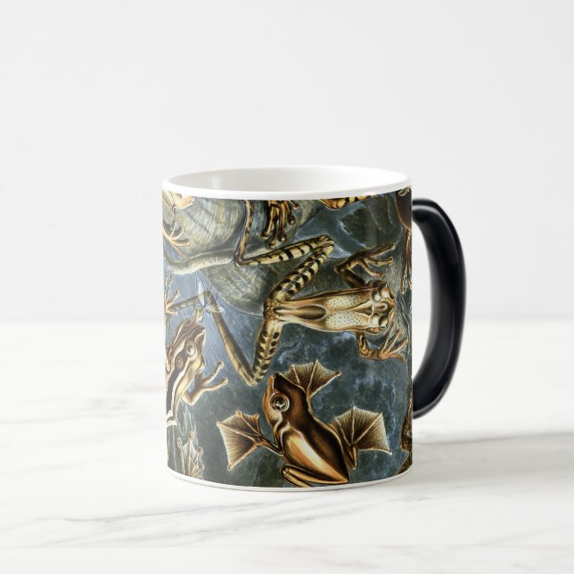 Caneca Mágica Ernst Haeckel variedade de sapos exóticos:Batrachi (Frente Esquerda)