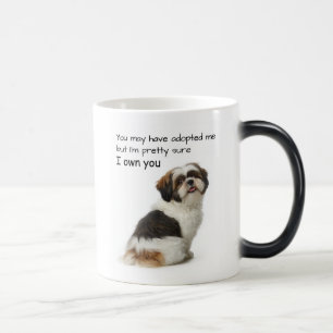 Caneca Mágica Eu Possuo Você Shih Tzu
