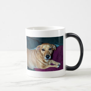 Caneca Mágica Feijão-manteiga, feijão-manteiga, feijão-mantei
