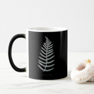 Caneca Mágica Fern - Polypodyum Vulgare - Efeito de raios X - 09