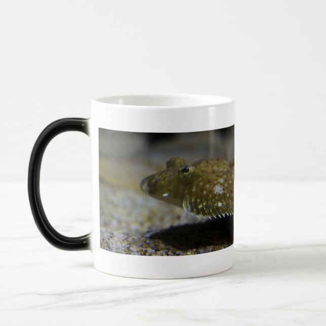 Caneca Mágica Flatfish (Esquerda)