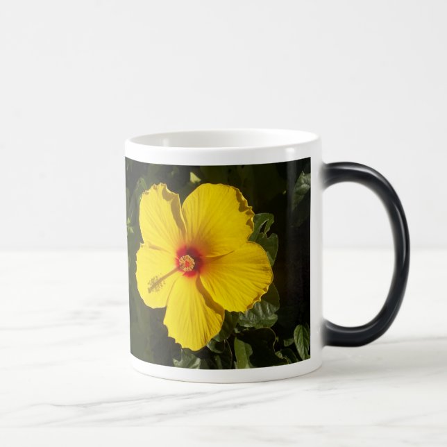 Caneca Mágica Flor de Hibiscus Amarelo (Direita)