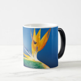 Caneca Mágica Flor de solteiro 2