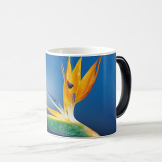Caneca Mágica Flor de solteiro 2