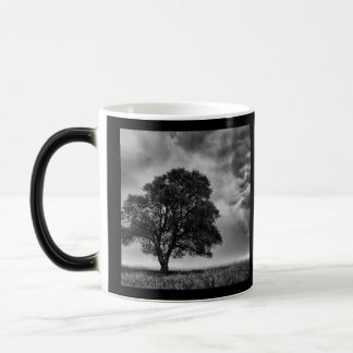 Caneca Mágica Foto de árvore e céu P&B