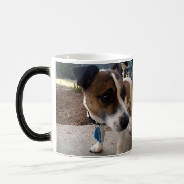 Caneca Mágica Fox Terrier Attração, Magic Morph Coffee Mug (Esquerda)