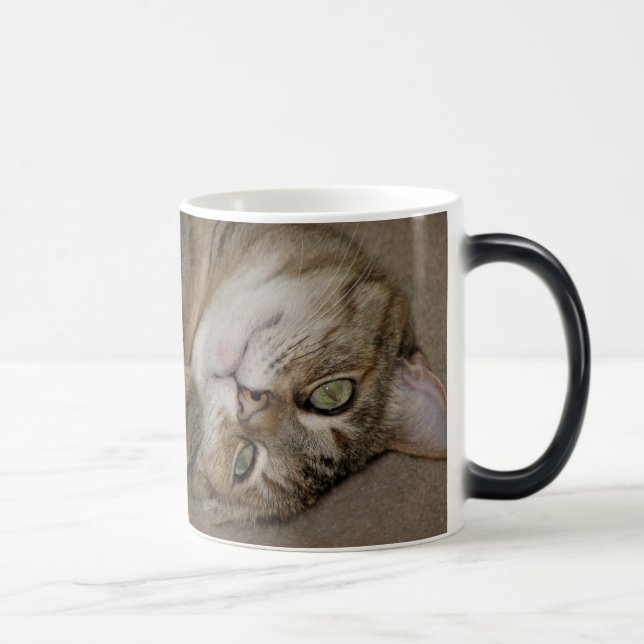 Caneca Mágica Gatinho Bonito Morph Mug (Direita)
