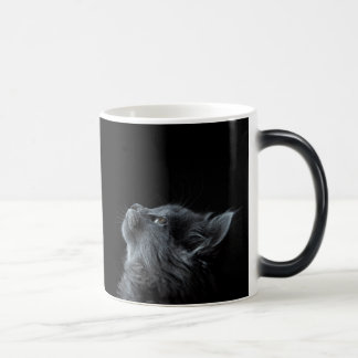 Caneca Mágica Gatinho preto curioso
