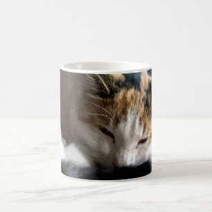 Caneca Mágica Gato de chita do sono