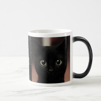 Caneca Mágica Gatos pretos