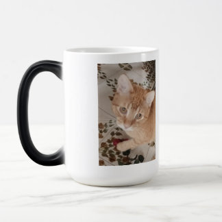 Caneca Mágica Ginger kitten photo, best therapist, 