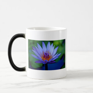 CANECA MÁGICA GRAMA FLORAL