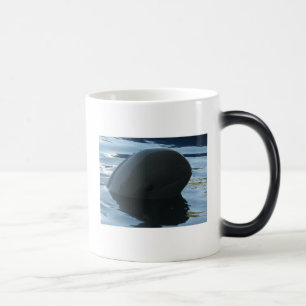 Caneca Mágica Irrawaddy Dolphin Peek-A-Boo