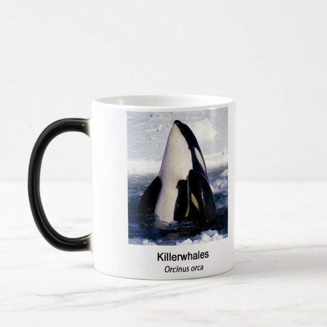 Caneca Mágica Killerwhale , Orcinus orca (Esquerda)