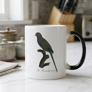 Caneca Mágica La Perruche souris / Monk Parakeet