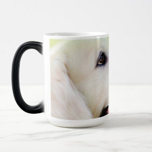 Caneca Mágica Labrador E Travesseiro decorativo De Borboleta