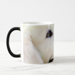Caneca Mágica Labrador E Travesseiro decorativo De Borboleta