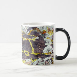 Caneca Mágica Líquenes em no. 3 da rocha