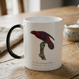 Caneca Mágica Lório-de-cauda-vermelha, Trichoglossus borneus