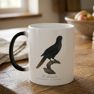 Caneca Mágica Lório-preto ou Lório-de-bico-vermelho, Chalcopsitt
