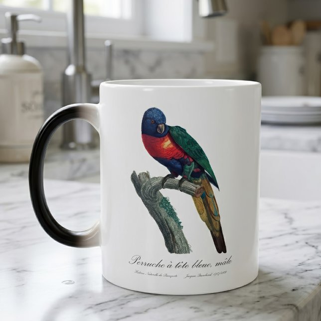 Caneca Mágica Loriqueet Arco-íris Macho, Trichoglossus Moluccanu (Rainbow Lorikeet Male, Trichoglossus Moluccanus. Color Morph Mug)