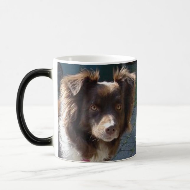 Caneca Mágica miniature american shepherd red tri (Esquerda)