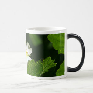 Caneca Mágica Morango Selvagem