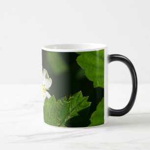 Caneca Mágica Morango Selvagem