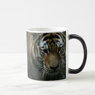 Caneca Mágica O olho do tigre
