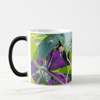 Caneca Mágica Os olhos da borboleta