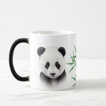 Panda e Bambu