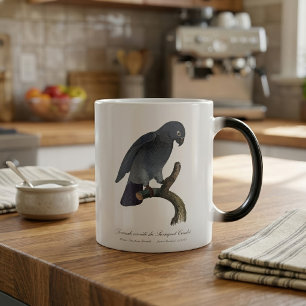 Caneca Mágica Papagaio-Cinzento-de-Timneh, Psittacus Timneh