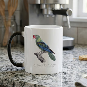 Caneca Mágica Papagaio-de-bico-largo, Tanygnathus Megalorynchos