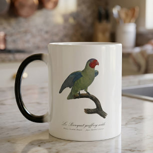 Caneca Mágica Papagaio-de-bochecha-vermelha-macho, Geoffroyus ge