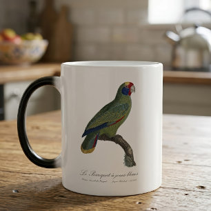 Caneca Mágica Papagaio-de-cauda-vermelha, Amazona Brasiliensis