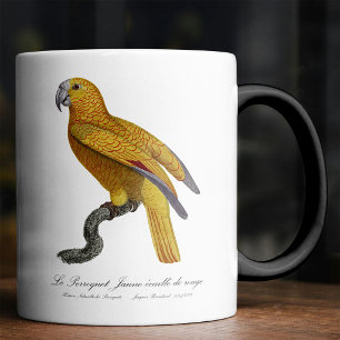 Caneca Mágica Papagaio do Paraíso de Cuba, Psittacus Paradisi