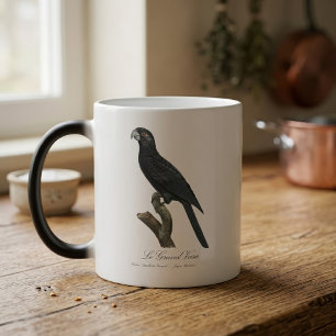 Caneca Mágica Papagaio Vasa Maior, Ilustração Coracopsis Vasa