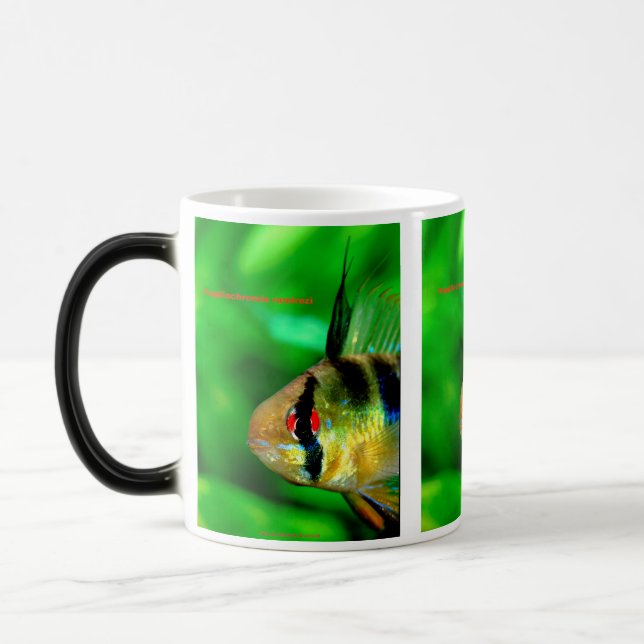 Caneca Mágica Papiliochromis ramirezi (Esquerda)