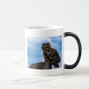 Caneca Mágica Pássaro Coruja Penas Animal Nature Destino Paz Amo