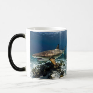 Caneca Mágica Peixe-tubarão-branco e azul-Elegante