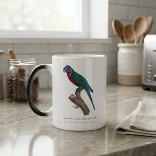 Caneca Mágica Periquito-arco-íris fêmea, Trichoglossus moluccanu