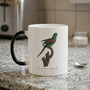 Caneca Mágica Periquito-de-bochecha-laranja, Brotogeris jugulari